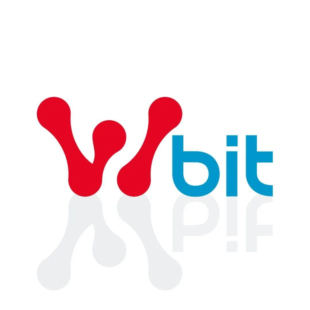 Bit